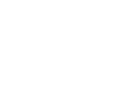 Bank of America white logo