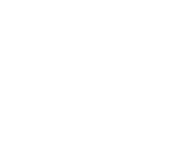 UPS logo