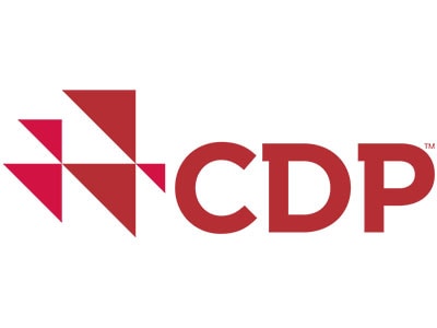 Logotipo de CDP