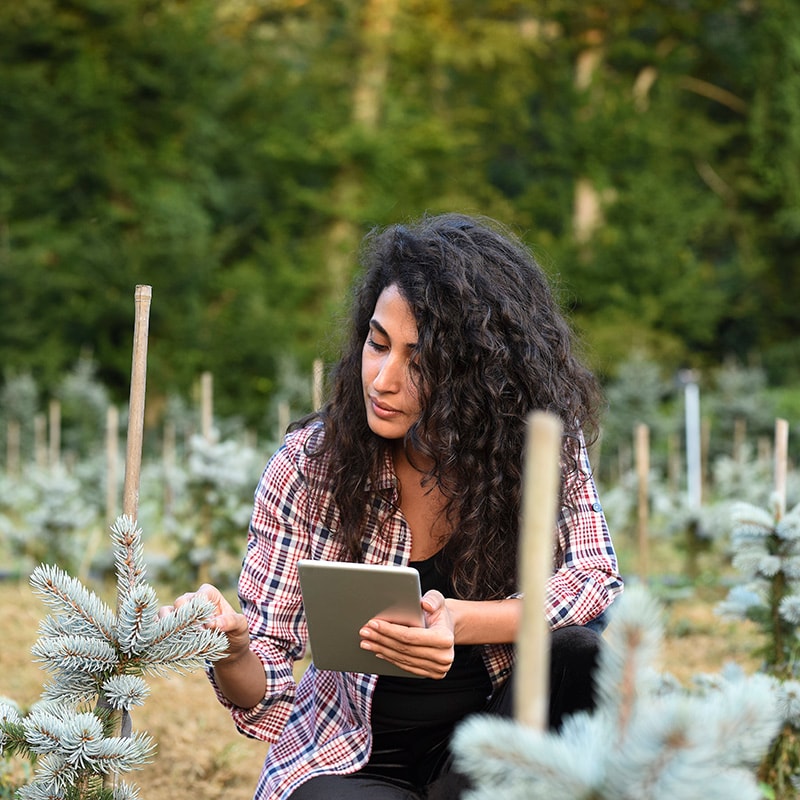 Foto de una mujer mirando un árbol